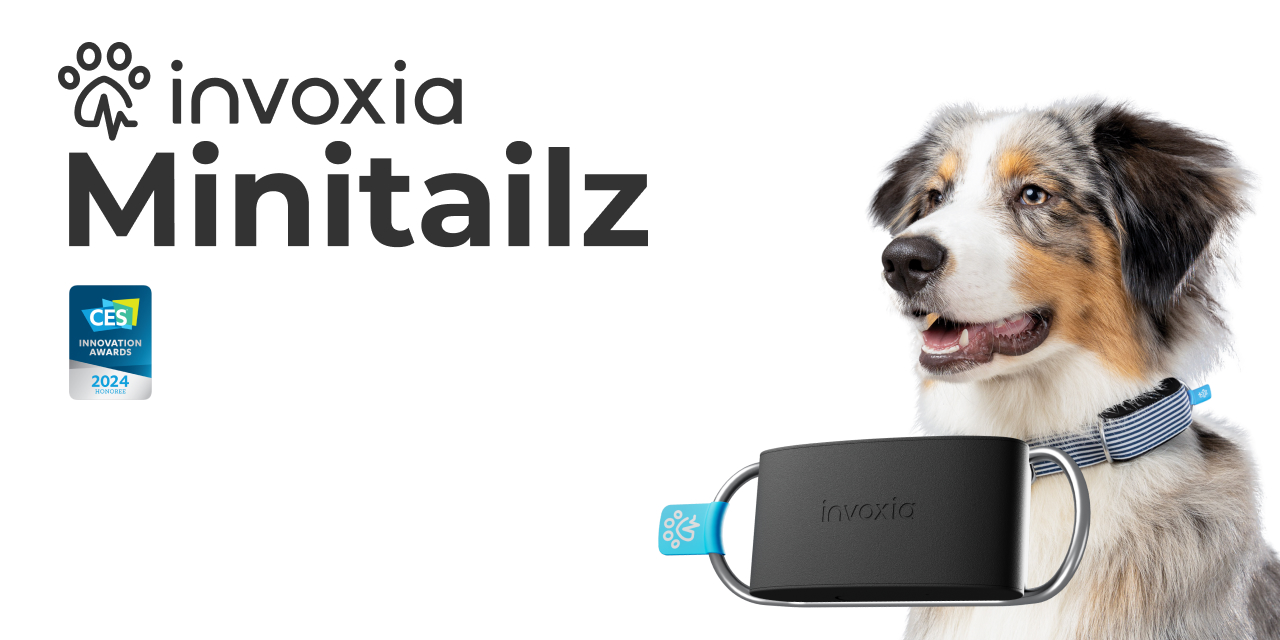 Minitailz: The “Smartwatch” for dogs now available